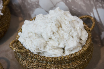 Picked white fluffy organic cotton in wicker basket, close-up