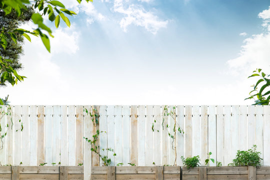nature landscape, summer frame and free space for text, summer background
