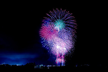 夏の夜空に咲く花火