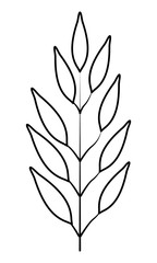 exotic tropical leaves icon cartoon in black and white