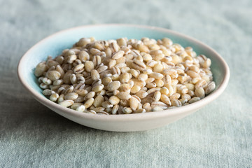 Whole Grain Milling Barley in a Bowl