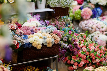 Various flowers at flower shop 
