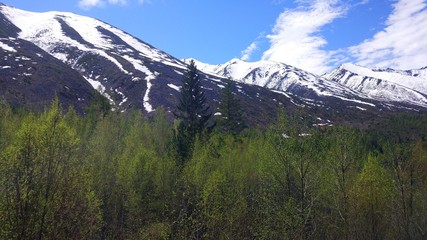 БАМ - Горы, Лес, Небо