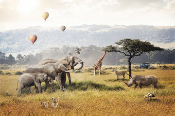 Kenya Safari Dream Trip Scene - obrazy, fototapety, plakaty