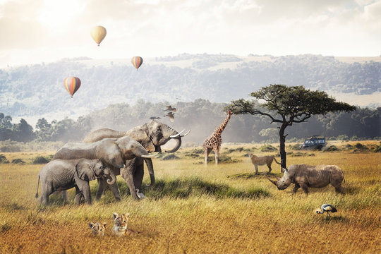 Fototapeta Kenya Safari Dream Trip Scene