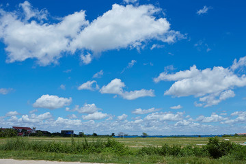 Fototapeta na wymiar Clouds in the sky, trees background 