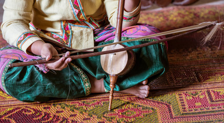 Closeup of Woman Playing Thai Stringed Instrument.