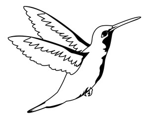 beautiful wild birds icon cartoon in black and white