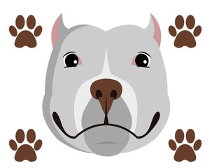 Pitbull smile Dog Head