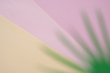Tropical leaves on pastel pink background. minimal concept.