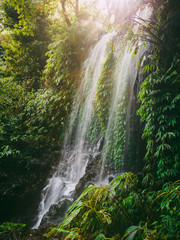 Fototapety  Wodospad ze słońcem na Bali. Las tropikalny i wodospad