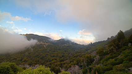Landscapes off the Angeles crest highway a few miles from los angeless