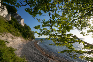 traumhafter Blick auf die weiße Kreide Küste von Møns Klint