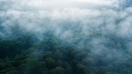 Aerial View of Clouds and Mist Over Forest and Hills