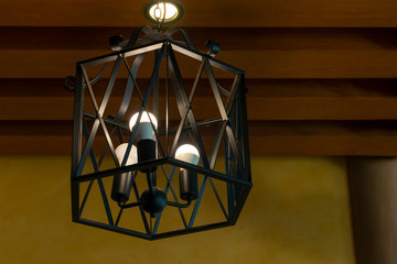 Modern black steel frame ceiling lamp interior lighting bulbs decoration contemporary