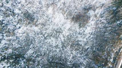 Aerial View of Road and Forest in Snow