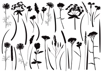 Foto op Plexiglas Herb and field flowers vector silhouette set © kronalux