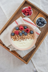 Healthy food background with homemade oatmeal granola