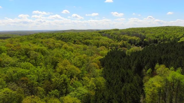Beautiful Northern Michigan Nature Forest Trees on Fresh Water Walloon Lake Charlevoix Vacation Travel Spring and Fall Colors Trail Nature Hike at Boyne School Trail Cinematic Drone Video USA 4K