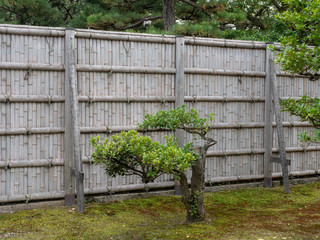 Japanese bamboo fence