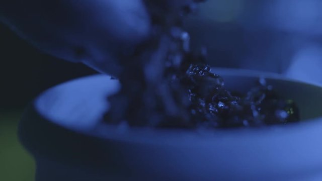 Hand puts tobacco in bowl of hookah. Action. Close-up of tobacco decomposition in hookah for smoking on dark background