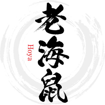 11 Best 老海鼠 Images Stock Photos Vectors Adobe Stock