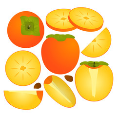 Persimmon vector illustration set. Whole, sliced and halved Persimmon graphics.