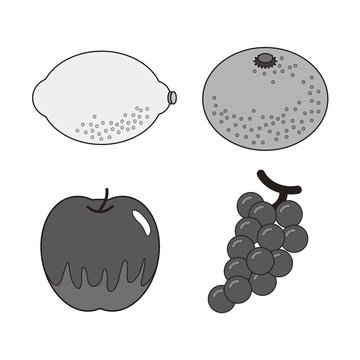 ぶどう イラスト 白黒 Images Browse 69 Stock Photos Vectors And Video Adobe Stock