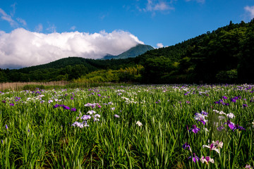 Obraz premium 神楽女湖