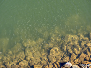 Rocky shore of a river with small schooling fish