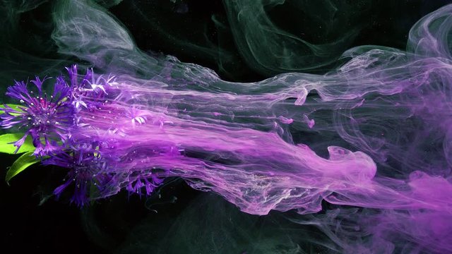 Little violet Flowers. Colorful Pigment Flow.