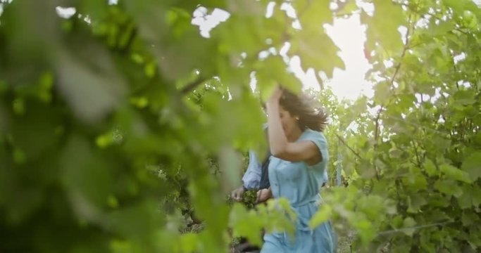 Romantic love couple, man and woman smiling and walking looking through plants near vineyard at sunset or sunrise with backlit sun.Warm sun back light.Friends italian trip in Umbria.4k slow motion
