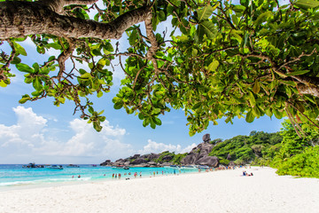 Beautiful tropical beach with coconut tree,beach in similan island,beach sand andaman sea