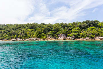 Beautiful tropical beach with coconut tree,beach in similan island,beach sand andaman sea