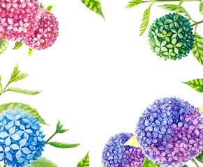 Hydrangea painting with watercolor for background.