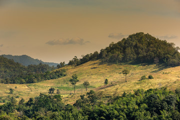 forest landscape : view of hills and mountain range full of green tree