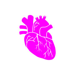 heart, human, vector, medical,pulse, beat, wave, heartbeat magenta color  icon