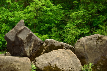 Basalt boulders. Huge stones on the background of green forest. Sikachi Alyan. Ancient stones.