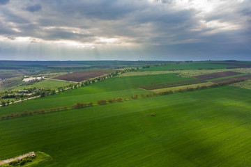 Fototapeta na wymiar Flight over cultivating field in the spring. Moldova Republic of.