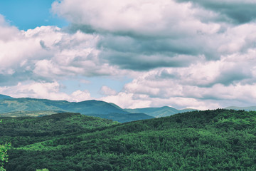 Green grass, mountains peaks covered with forest and cloudy blue sky. Summer mountain landscape.