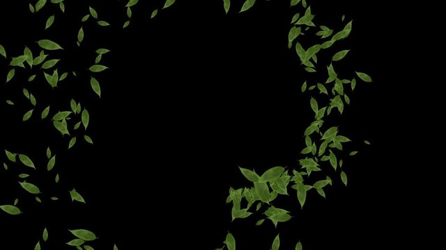 green leaves animation 葉っぱ　木の葉　アニメーション