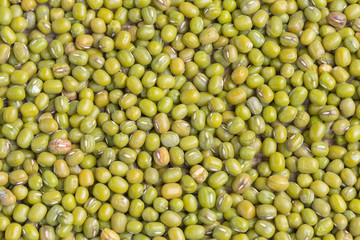 Green beans on white background