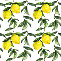Fruit de citron peint à la main sur une branche avec des feuilles isolées.