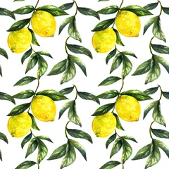 Papier Peint photo autocollant Citrons Fruit de citron peint à la main sur une branche avec des feuilles isolées.