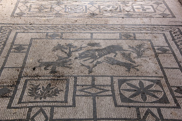 Mosaïque de Pompéi
