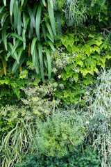 Obraz premium 庭園