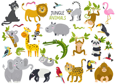 Big set of cute animals from jungle