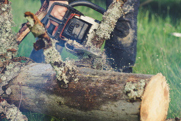 The guy chops the old tree in the mountains with a chainsaw. Ukrainian Carpathian Mountains. Bonfire. Tourism