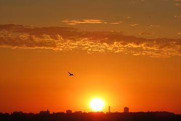 Beautiful fiery orange sunset background over the city