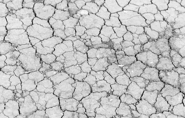 Cracked soil as an abstract background